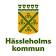 Hässleholms kommun